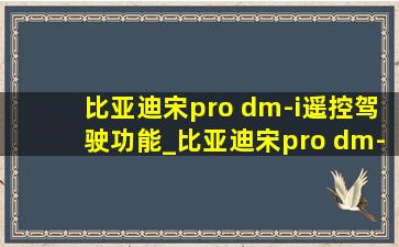 比亚迪宋pro dm-i遥控驾驶功能_比亚迪宋pro dm-i遥控驾驶功能在哪